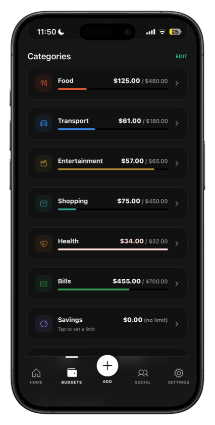 Category limits with spend against each one